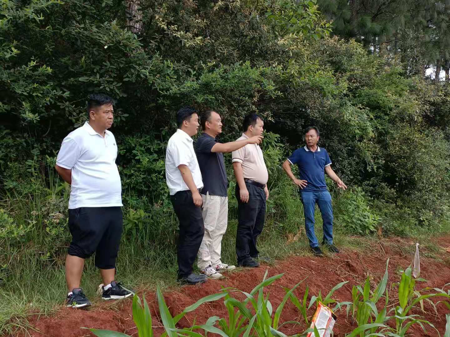 图片3(1) 图片3(1)