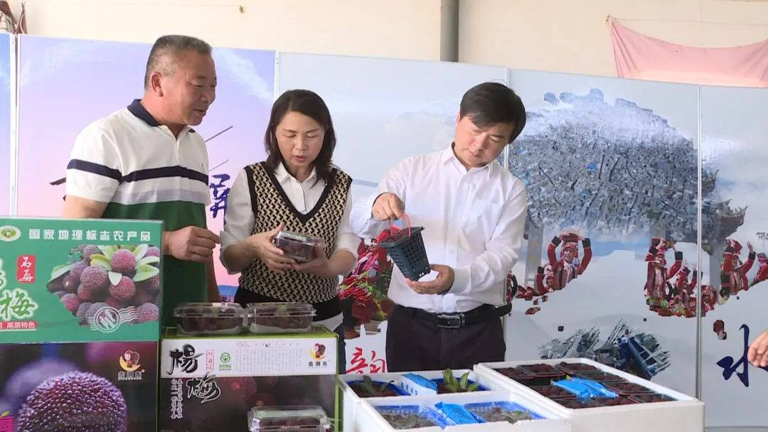 5331C1FA85A7D56779E4F45A708F555B